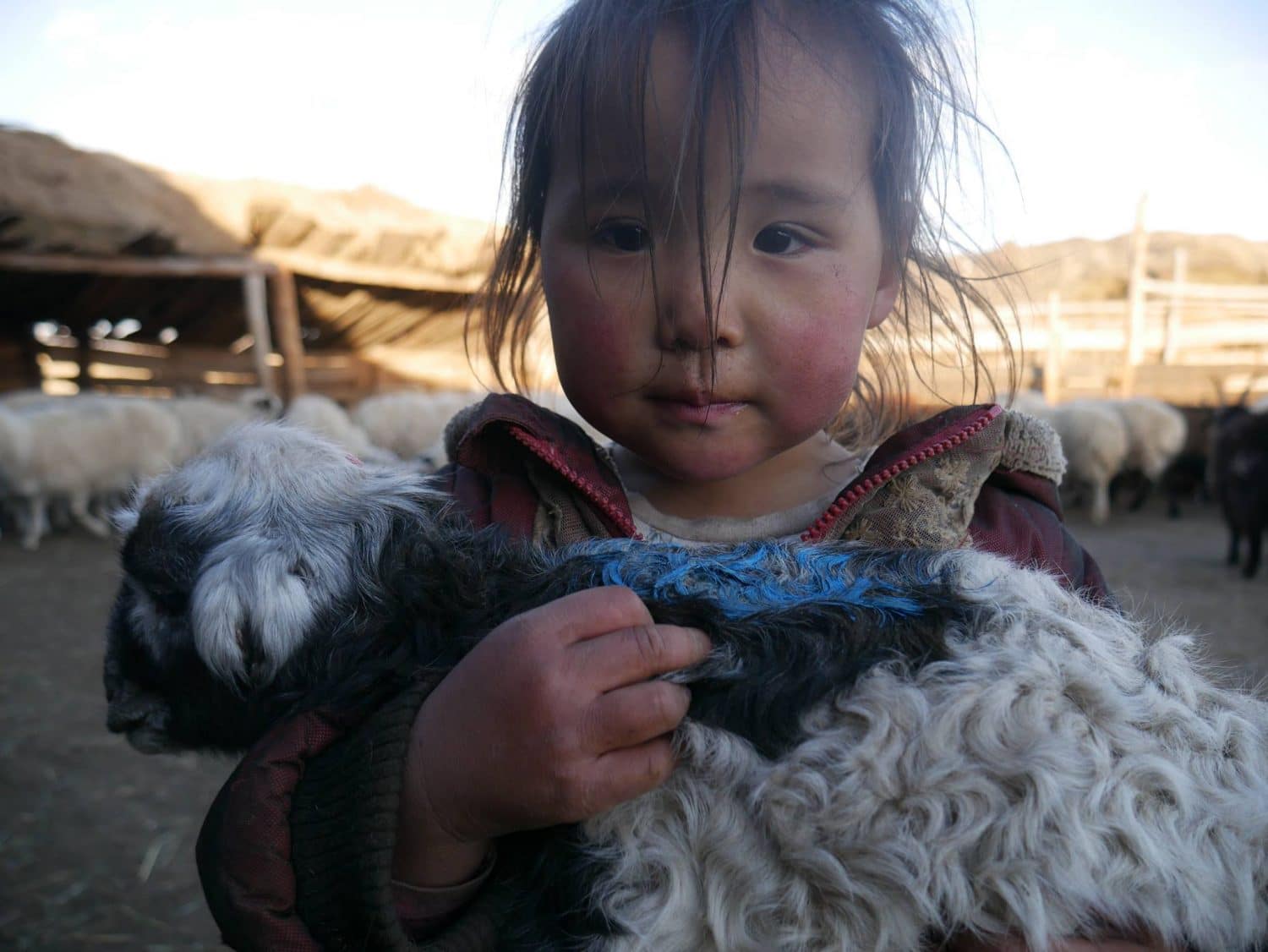 rencontrer les nomades en Mongolie