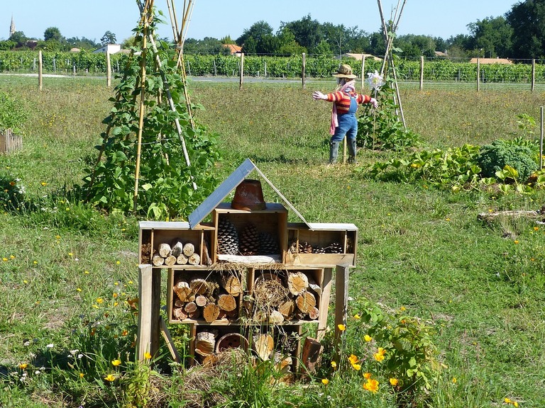 Permaculture conseils faciles