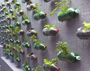 jardin vertical bouteilles plastique