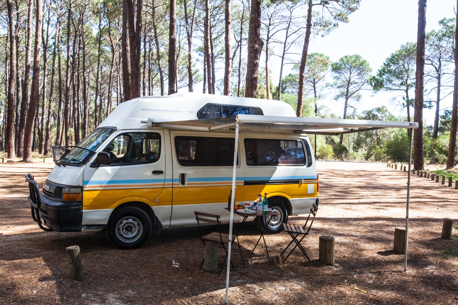 Animaux solaire pour tableau de bord Camping-car, Fourgon