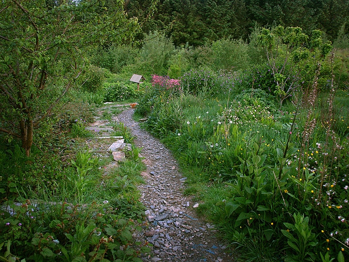 jardin permaculture