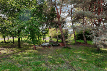 Tiny House invisible : une micro maison qui se fond dans la nature