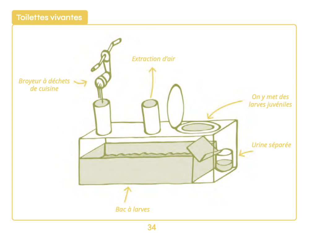 biosphère urbaine - schéma toilettes vivantes