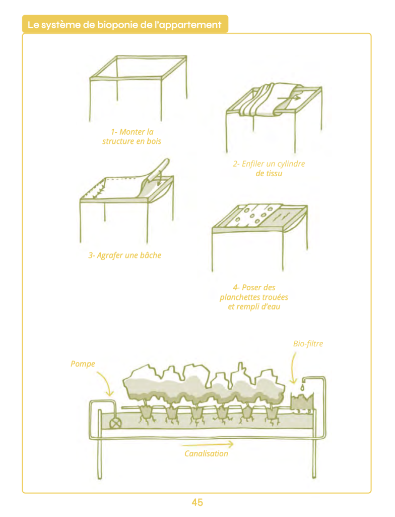 biosphère urbaine - schéma bioponie