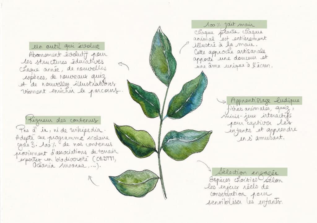 La démarche de GreenQuizz